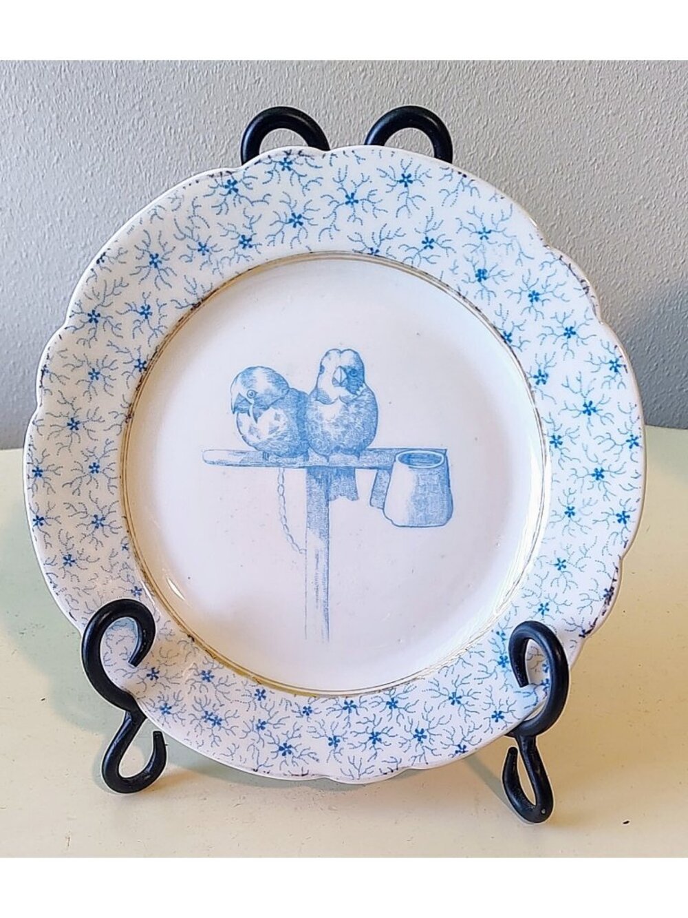 Victorian Parakeet Ornithology Plate Blue & White Transferware 19th c